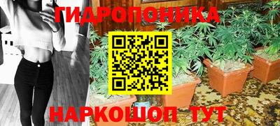 трава Ачхой-Мартан