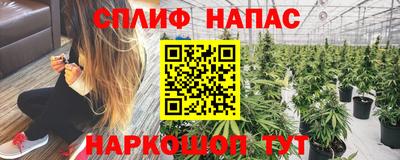 трава Ачхой-Мартан