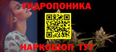 трава Ачхой-Мартан
