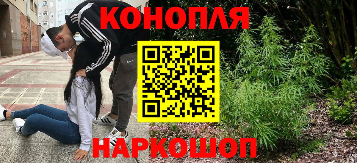 Канабис сатива Белорецк